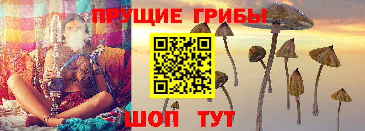 Псилоцибиновые грибы прущие грибы  Вход с VPN  Балашов  купить наркоту  Галлюциногенные грибы ЛСД 